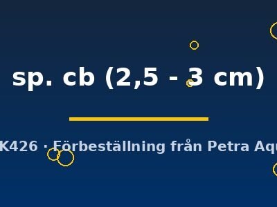 sp. cb (2,5 - 3 cm)