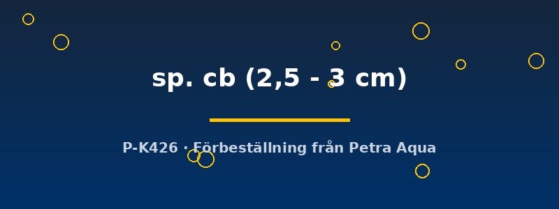 petra-ph2-180323 petra-ph2-180323