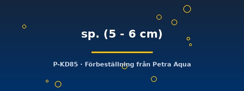 petra-ph2-180329 petra-ph2-180329