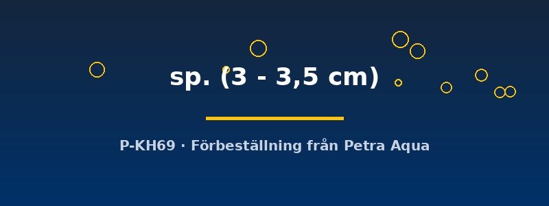petra-ph2-180333 petra-ph2-180333