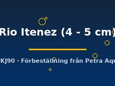 Rio Itenez (4 - 5 cm)