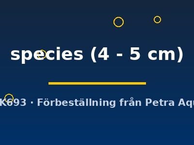 species (4 - 5 cm)