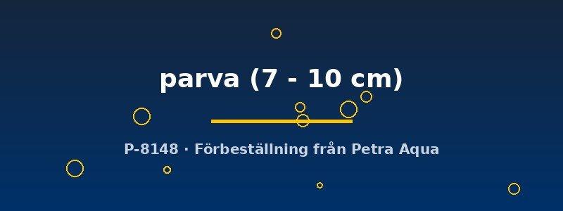 petra-ph2-180356 petra-ph2-180356