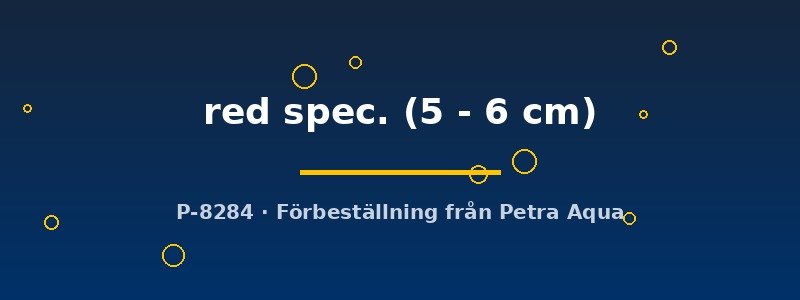 petra-ph2-180359 petra-ph2-180359