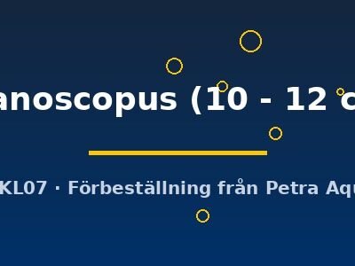 Megalodoras uranoscopus 10–12 cm