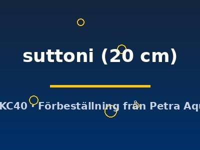 suttoni (20 cm)
