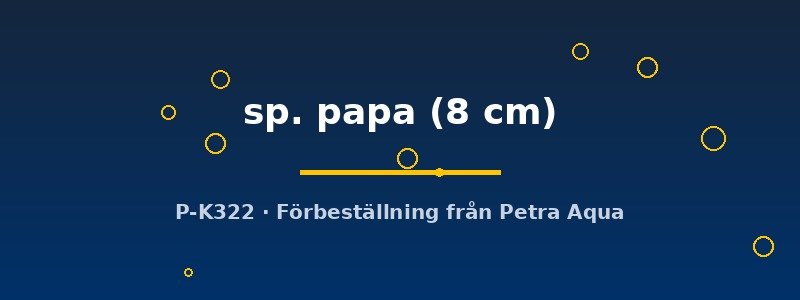 petra-ph2-180392 petra-ph2-180392