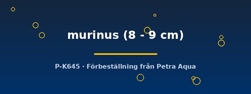 petra-ph2-180467 petra-ph2-180467