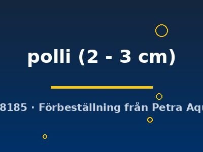 polli (2 - 3 cm)