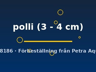 polli (3 - 4 cm)