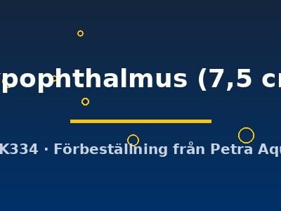 Pangasius hypophthalmus 7,5 cm