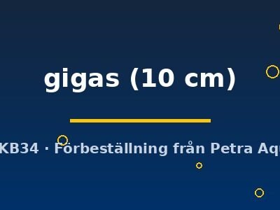 Arapaima gigas 10 cm