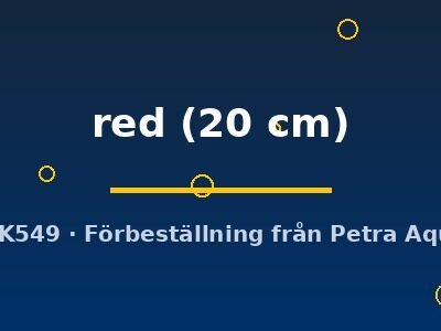 Arowana red 20 cm