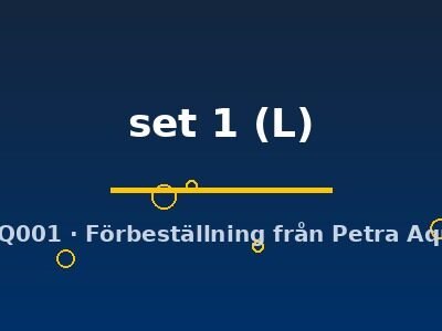 set 1 (L)