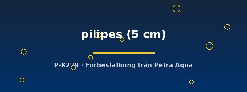 petra-ph2-180722 petra-ph2-180722