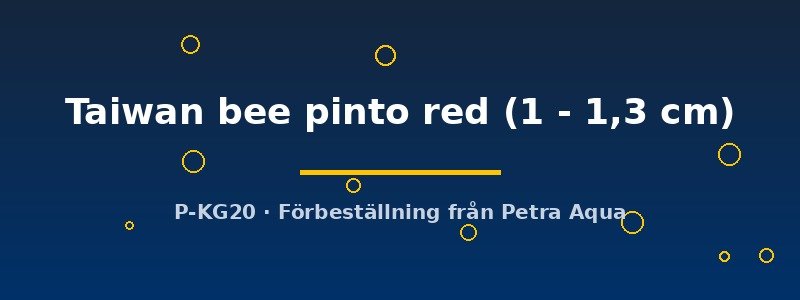 petra-ph2-180727 petra-ph2-180727