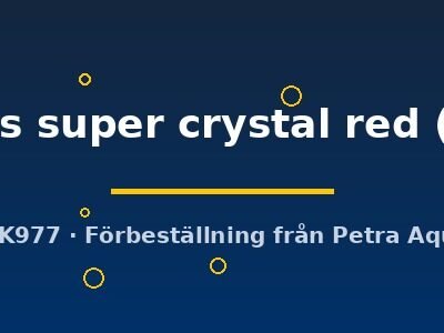 cantonensis super crystal red (1 - 1,5 cm)