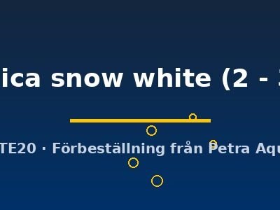 japonica snow white (2 - 3 cm)