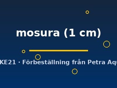 mosura (1 cm)