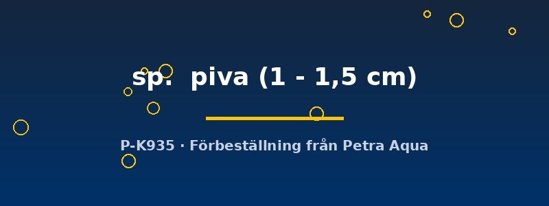 petra-ph2-180750 petra-ph2-180750