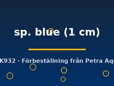 sp. blue (1 cm)