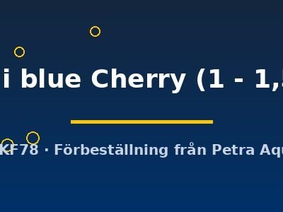 Neocaridina davidi blue Cherry 1–1,5 cm