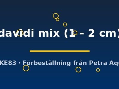 Neocaridina davidi mix 1–2 cm