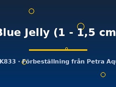 Neocaridina heteropoda Blue Jelly 1–1,5 cm