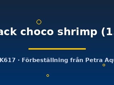 sp. black choco shrimp (1.2 cm)