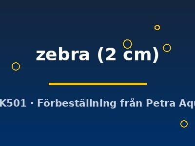 zebra (2 cm)