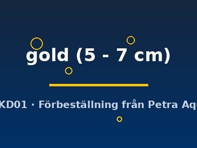 Pleurodela gold 5–7 cm