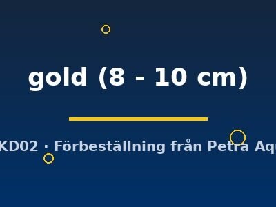 Pleurodela gold 8–10 cm