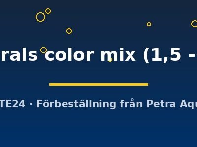 sp. australs color mix (1,5 - 2,5 cm)