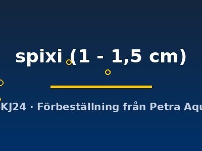 spixi (1 - 1,5 cm)