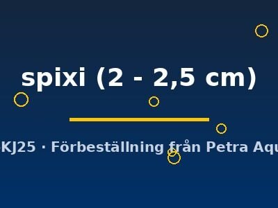 spixi (2 - 2,5 cm)