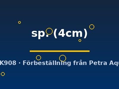 sp. (4cm)