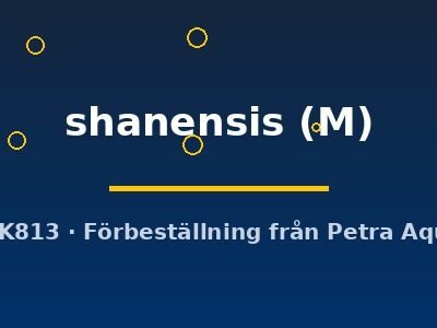 Taia shanensis M