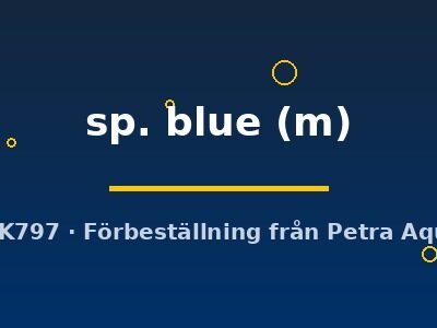 sp. blue (m)