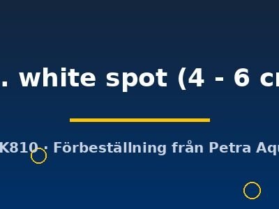 sp. white spot (4 - 6 cm)