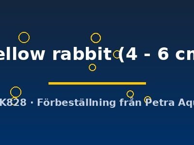 yellow rabbit (4 - 6 cm)