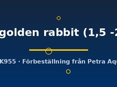 Tylomelania sp. mini golden rabbit 1,5–2 cm