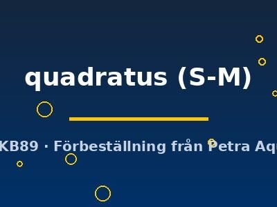 quadratus (S-M)