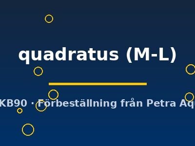 quadratus (M-L)