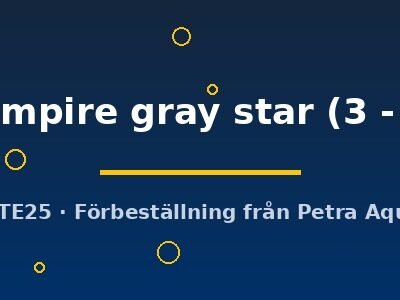 sp. vampire gray star (3 - 4 cm)