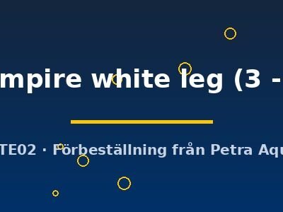sp. vampire white leg (3 - 4 cm)