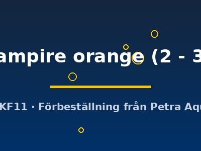 Geosesarma sp.vampire orange 2–3 cm