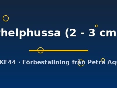 thelphussa (2 - 3 cm)