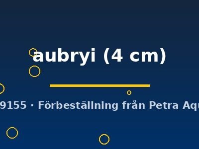 Metasesarma aubryi 4 cm