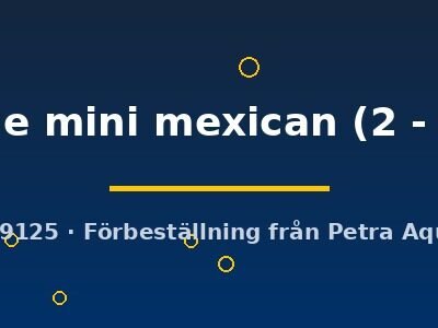 orange mini mexican (2 - 3 cm)