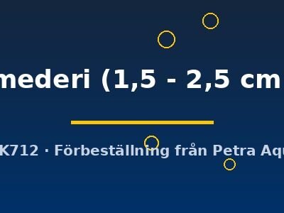 mederi (1,5 - 2,5 cm)